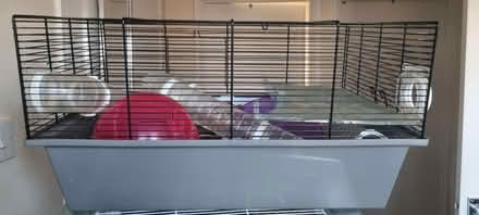 Photo of free Large Hamster/small Rodent cages (Cheshunt EN7) #3