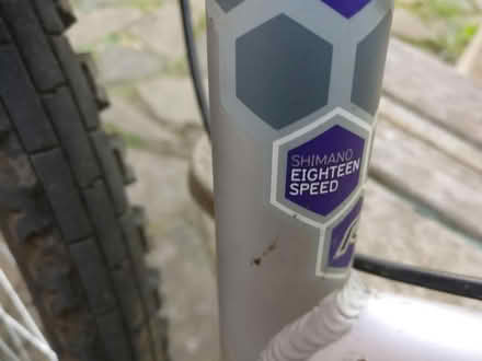 Photo of free Bicycle (Bray SL6) #4