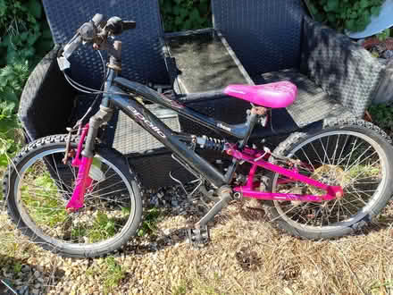 Photo of free Girls bike say 10-12yr old (Pebsham TN40) #1