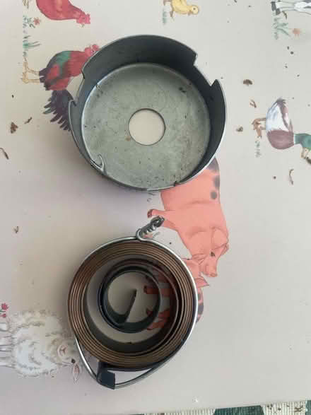 Photo of free Return spring (Leegomery TF1) #1