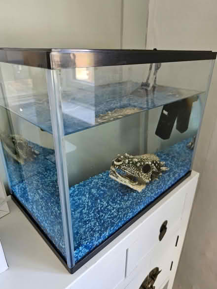 Photo of free Small fish tank & accessories (Headington OX3) #1