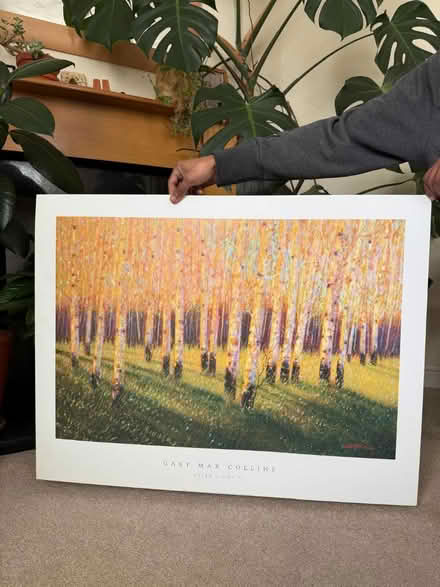 Photo of free A1 posters/prints (Filton) #3
