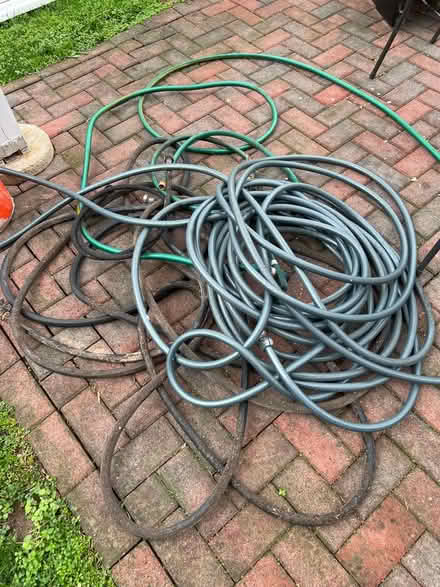 Photo of free Four garden houses (Takoma DC) #1