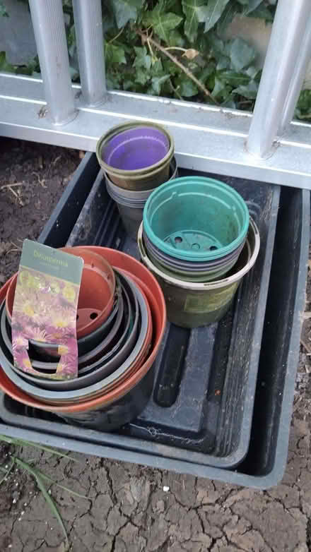 Photo of free Plastic pots (Buckskin RG22) #1