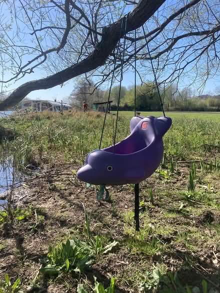 Photo of free Baby Swing (Whitchurch on Thames RG8 7RA) #1