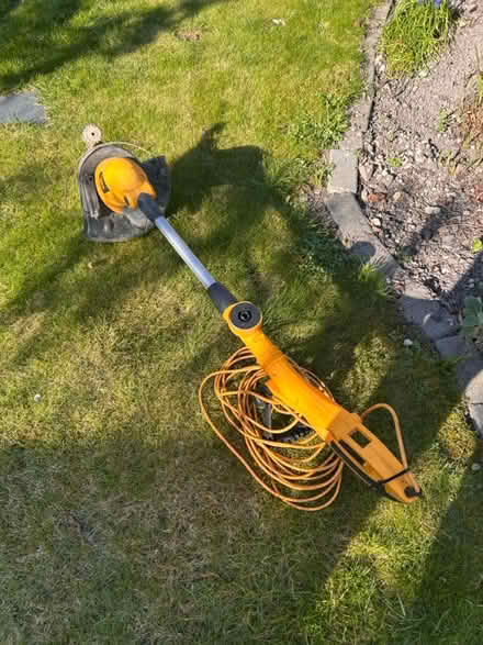 Photo of free Strimmer (Didcot OX11) #1