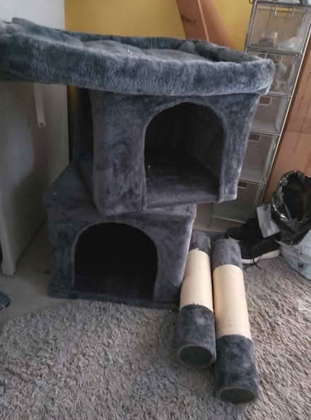 Photo of free Very large (wide) cat tower (N5 Highbury) #1