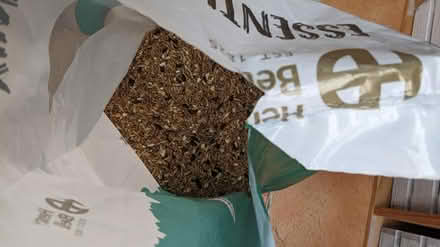 Photo of free Bird seed (west side of Horsham) #2