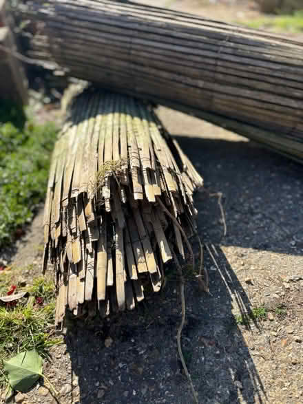 Photo of free Cane fencing (Chessington KT9) #1