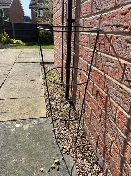 Photo of free Plant supports (Findern CP DE23) #1