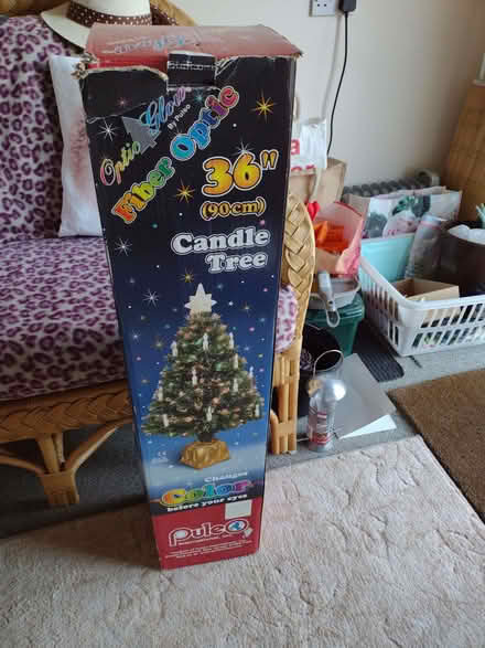 Photo of free Christmas tree (Feering CO5) #1