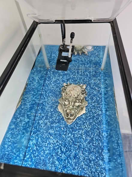 Photo of free Small fish tank & accessories (Headington OX3) #2