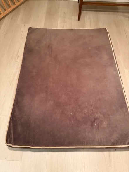 Photo of free Large Dog Bed (North Cleveland Park) #1