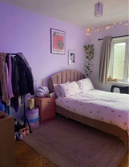 Photo of free Pink velvet bed (N1) #1