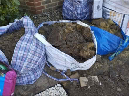 Photo of free Garden soil sod (Eastcote HA5) #1