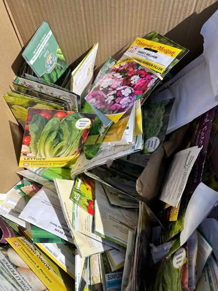 Photo of free Garden Seeds (Bayworth OX13) #2