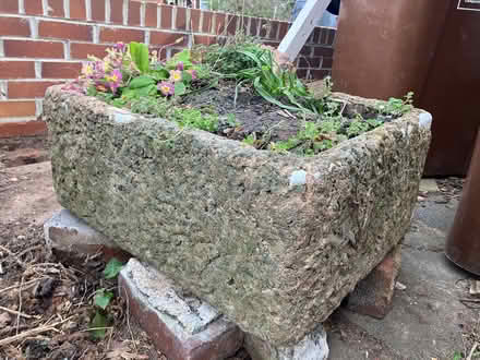 Photo of free Old butlers sink rendered planter (Exwick) #1