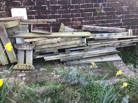 Photo of free Wood suitable for burning. (Eastbourne BN21) #2