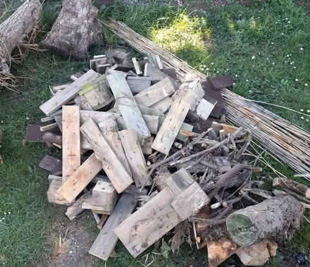 Photo of free Wood for log burner or general fire (Wickford Essex SS12) #2