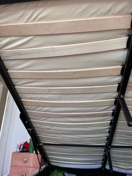 Photo of free Pink velvet bed (N1) #3