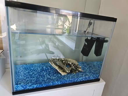 Photo of free Small fish tank & accessories (Headington OX3) #3
