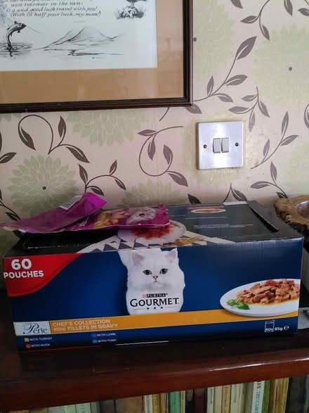 Photo of free Cat food (Warton LA5) #1