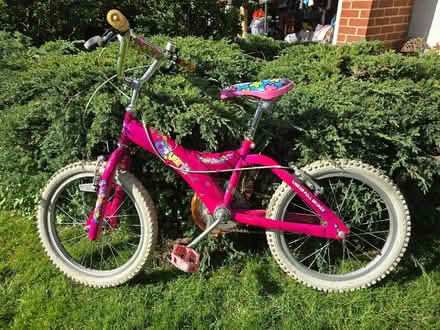 Photo of free Girl's child bike (Morley DE21) #1