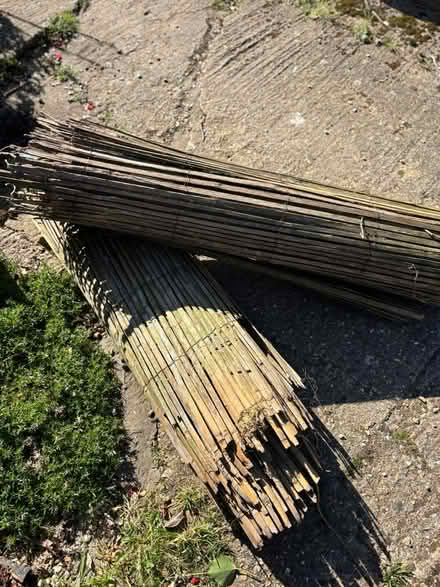 Photo of free Cane fencing (Chessington KT9) #2