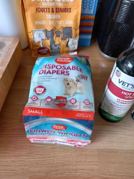 Photo of free Elderly dog items (Roundhill area brighton) #1