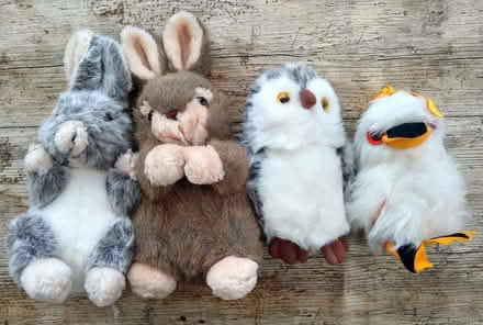 Photo of free Soft Toys (Kenilworth CV8) #2