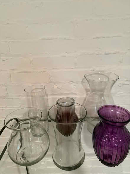 Photo of free Variety of Vases (North Cleveland Park) #1