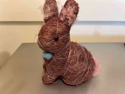Photo of free Purple Rabbit (San Jose Burbank Area) #1