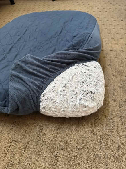 Photo of free Dog Bed w/ Cover (East Petaluma) #2