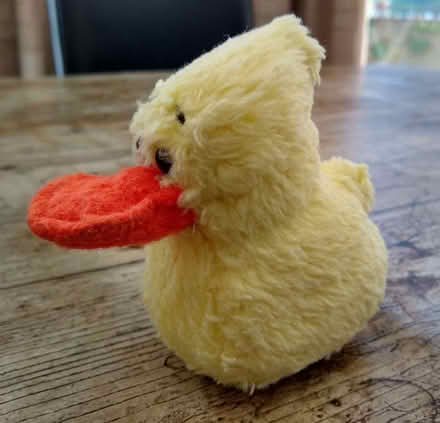 Photo of free Soft Toys (Kenilworth CV8) #4