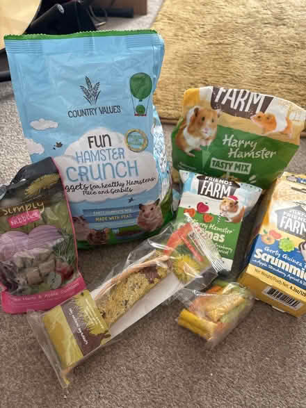 Photo of free Hamster cage, accessories and food (East Kilbride) #1