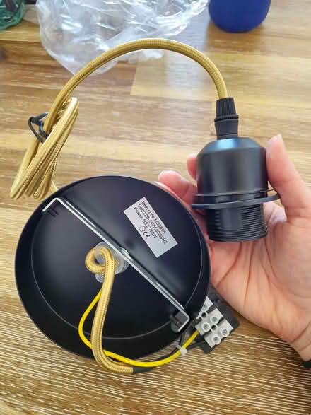 Photo of free Ceiling light cables (3) (W3 7DY) #2