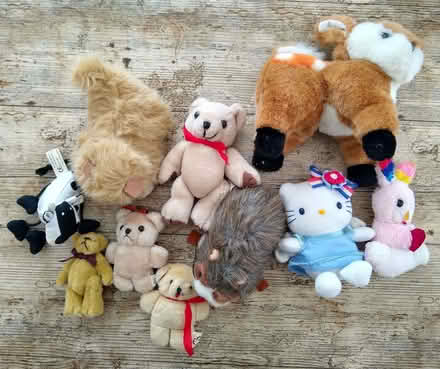 Photo of free Soft Toys (Kenilworth CV8) #3