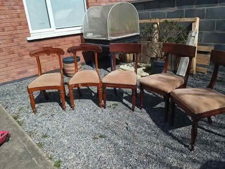 Photo of free 5 x dining chairs (Greystones) #1