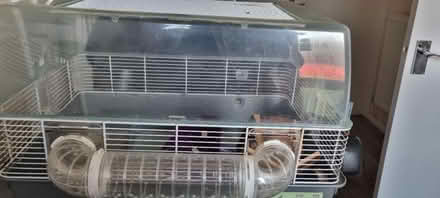 Photo of free Large Hamster/small Rodent cages (Cheshunt EN7) #2