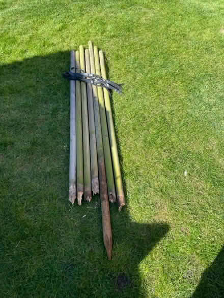 Photo of free Tree stakes and ties (Linslade LU7) #1