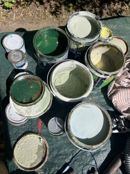Photo of free Paint (East Finchley) #1