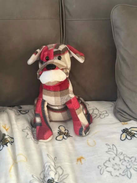 Photo of free Doggy doorstop (Orpington) #1