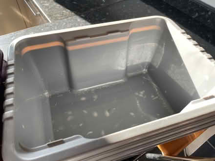 Photo of free Storage boxes - small x 6 (Marshalswick AL4) #3