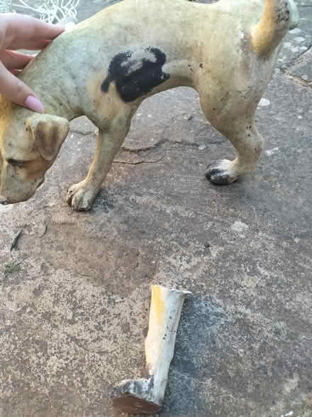 Photo of free Dog ornament (TN37 Hastings) #1
