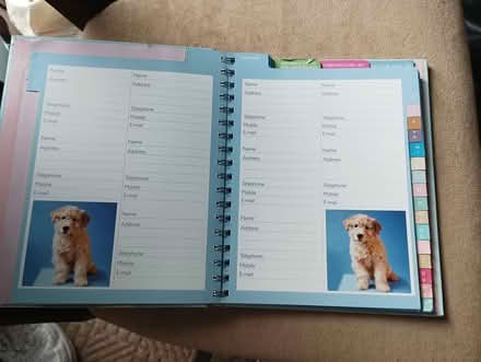 Photo of free Keepsake book/ whiskey sugn (Greystones) #1