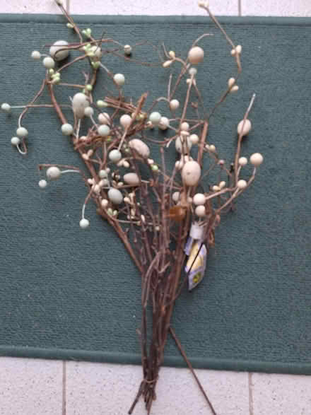 Photo of free Decorative branches with eggs (Hurontario and South Service) #1