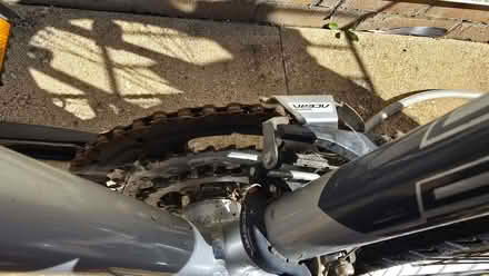 Photo of free Salcano Bicycle (Meppershall SG17) #2