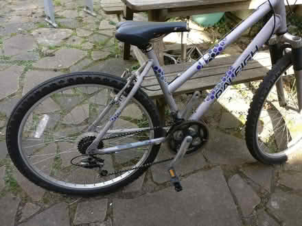 Photo of free Bicycle (Bray SL6) #2