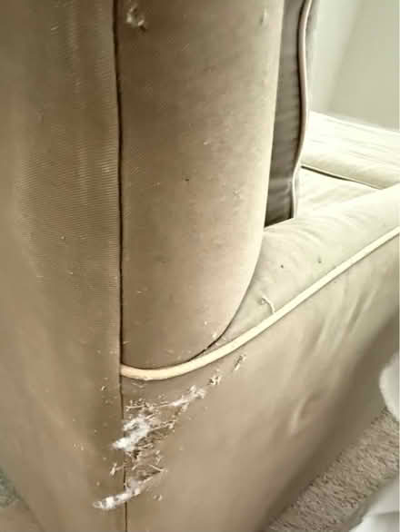 Photo of free X-Large Chair + ottoman/footrest (16th st hts dc) #3