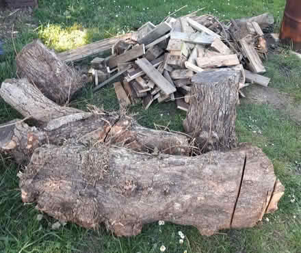 Photo of free Wood for log burner or general fire (Wickford Essex SS12) #3